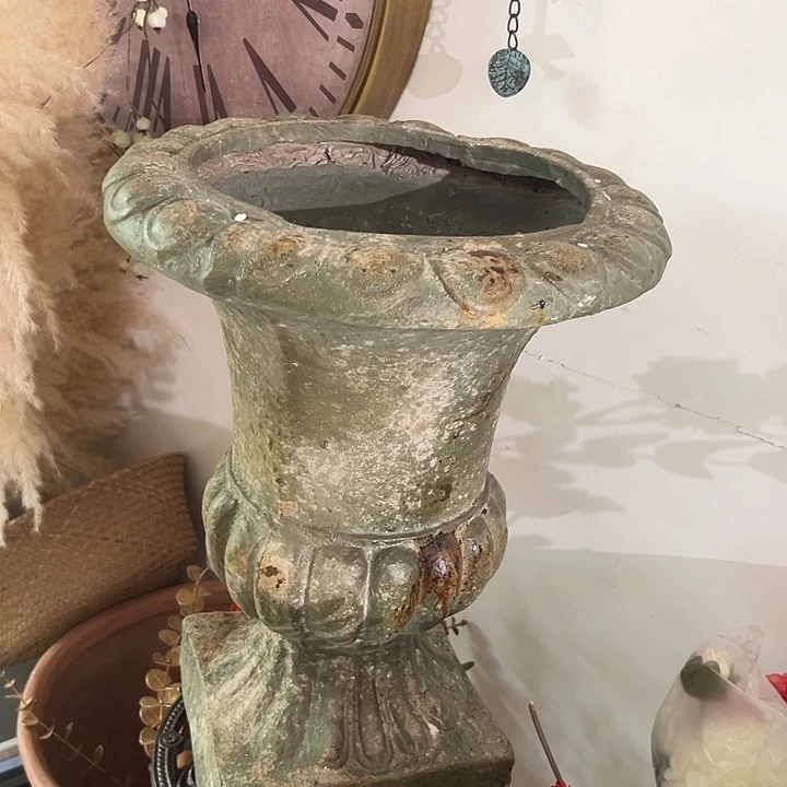 拍品大福利大福利