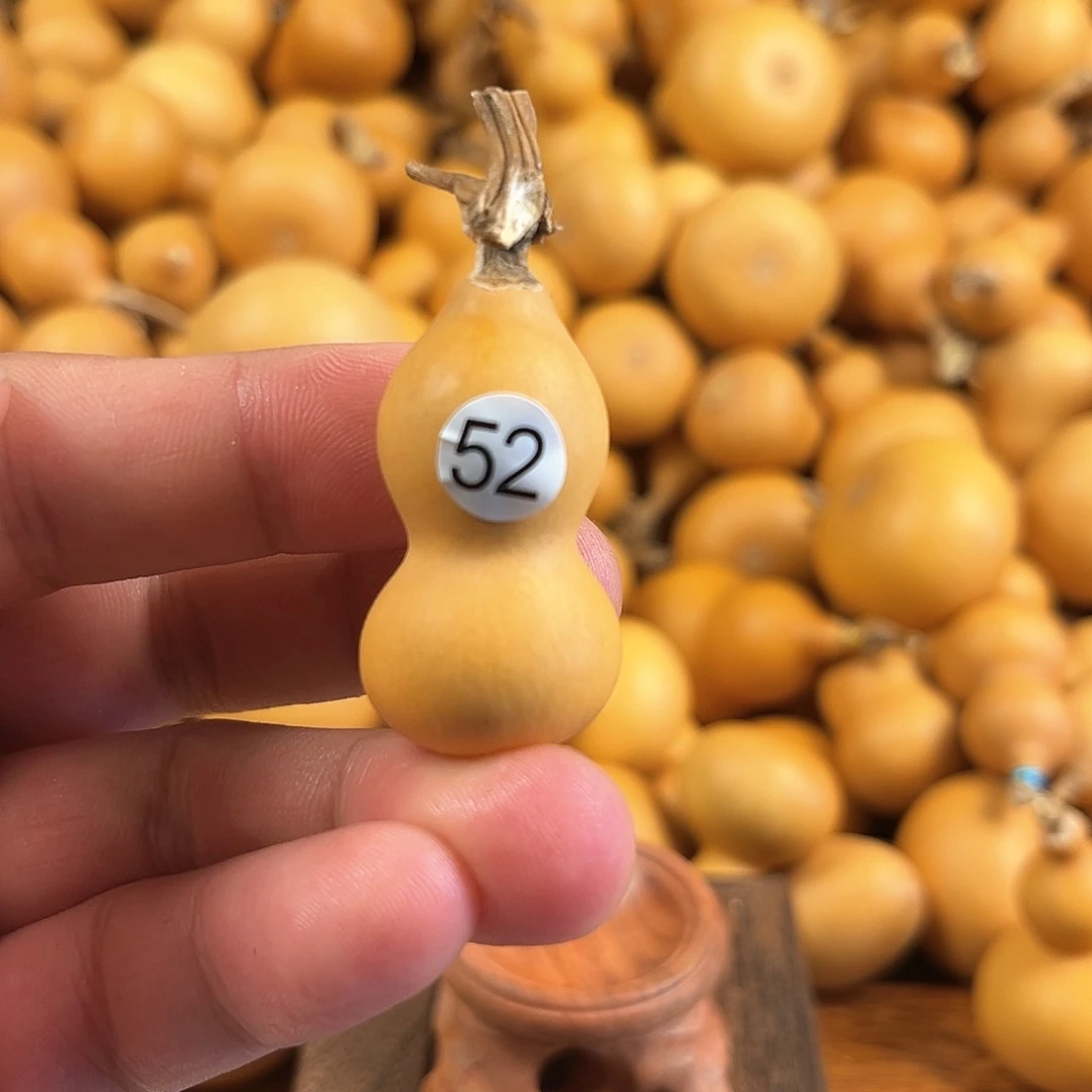 一葫芦葫芦葫芦葫芦52