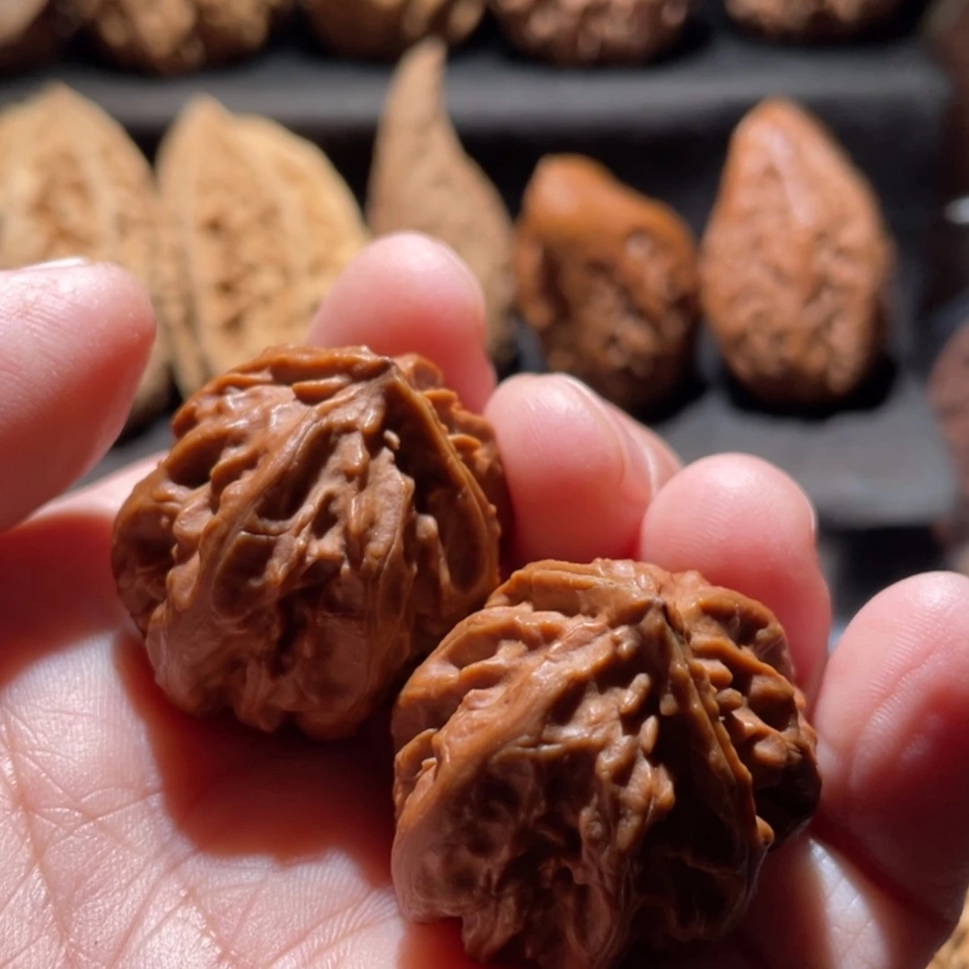 【闪购商品】文玩核桃把件东北楸子54