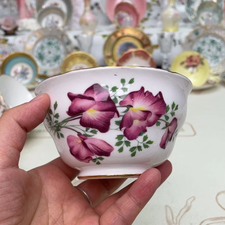 盘维多利亚欧洲中古