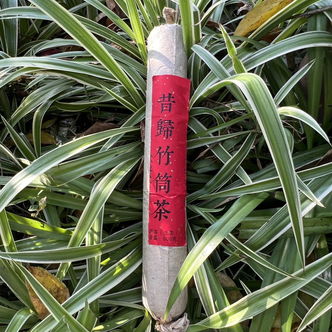 谭【茶山小原 】2022年昔归竹筒茶古树纯料普洱生茶500g（正装试喝）