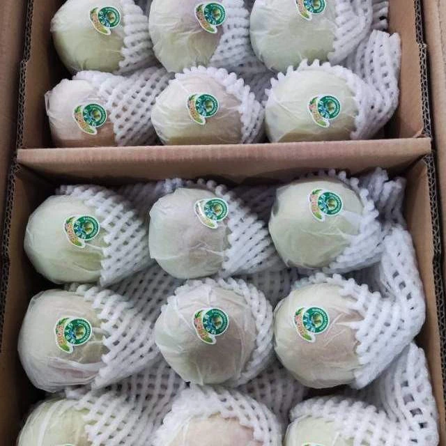 新疆库尔勒香梨特级果原箱绿源牌新鲜源头货嘉兴水果批发市场直发