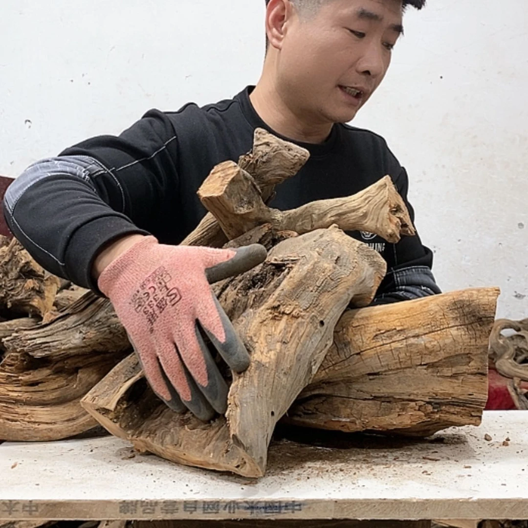 【闪购商品】柏木壹*堂我们都是好孩子