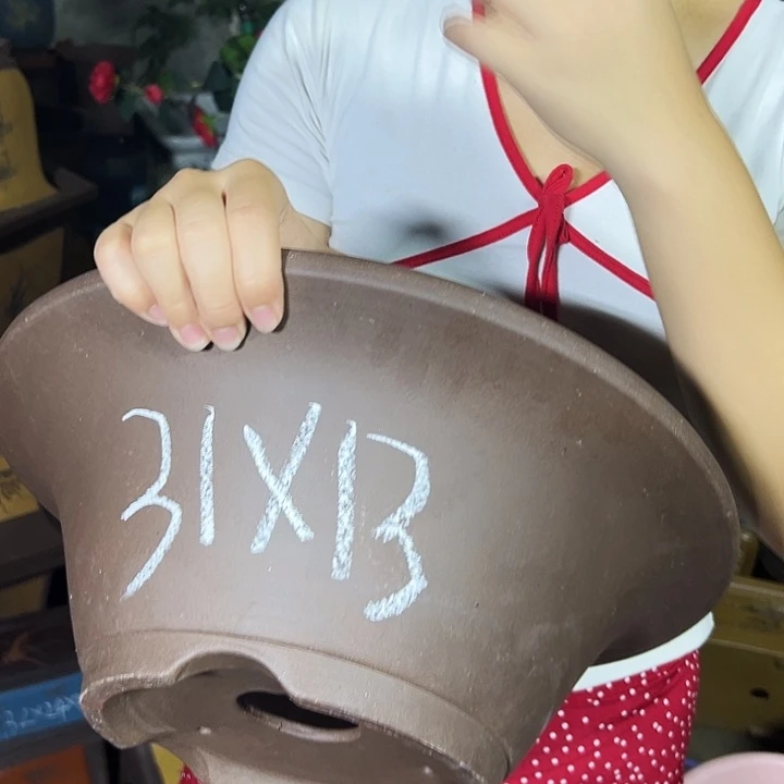 31斗盆花盆花盆花盆花盆