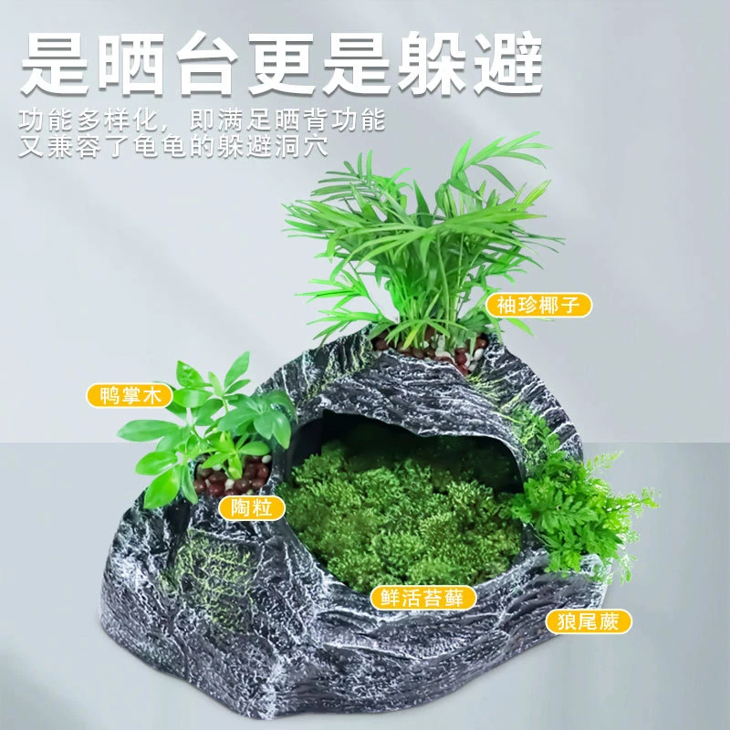 爬坡爬台爬虫晒背台晒台巴西乌龟爬梯草皮草坪大号热品饲养盒