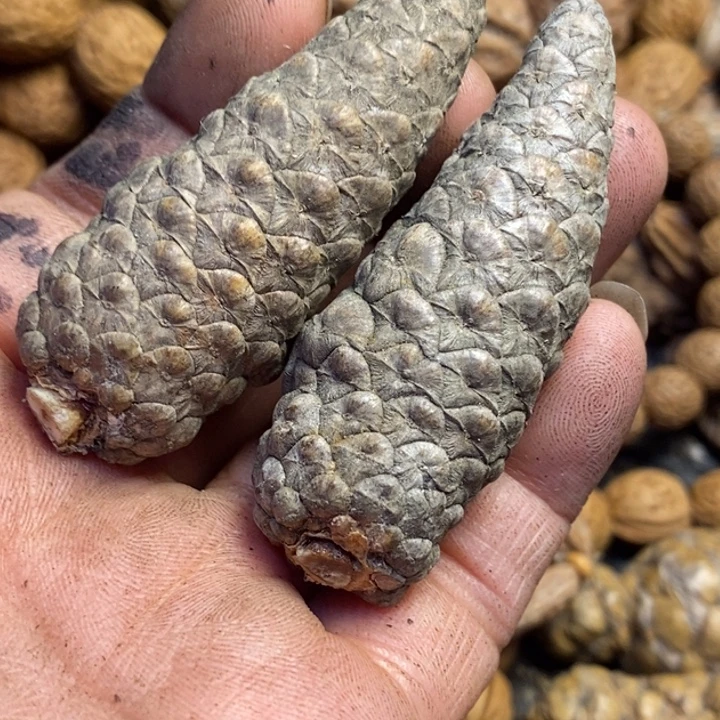 P***N吊坠文玩核桃东北特产375