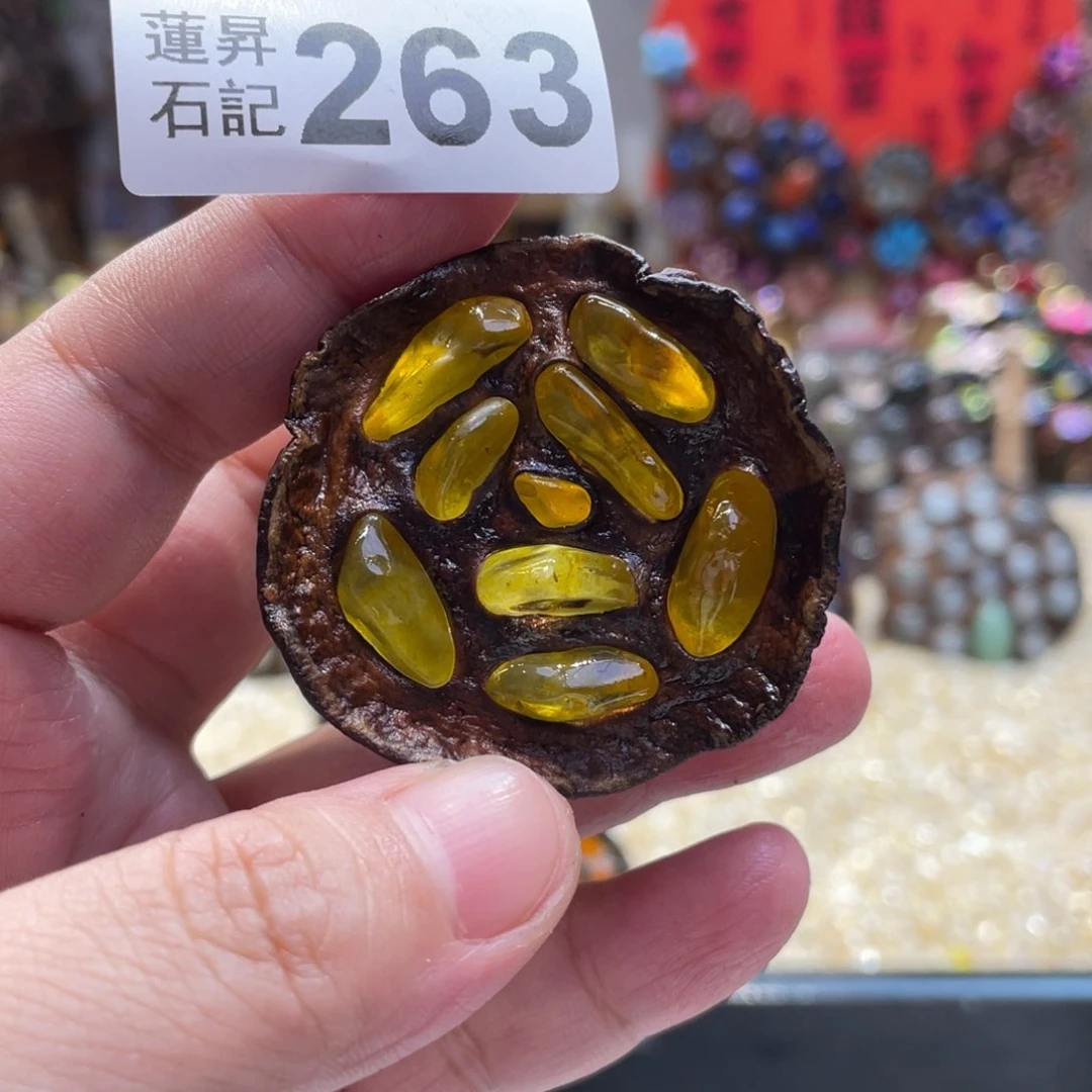 核桃木/黑胡桃（胡桃木）263