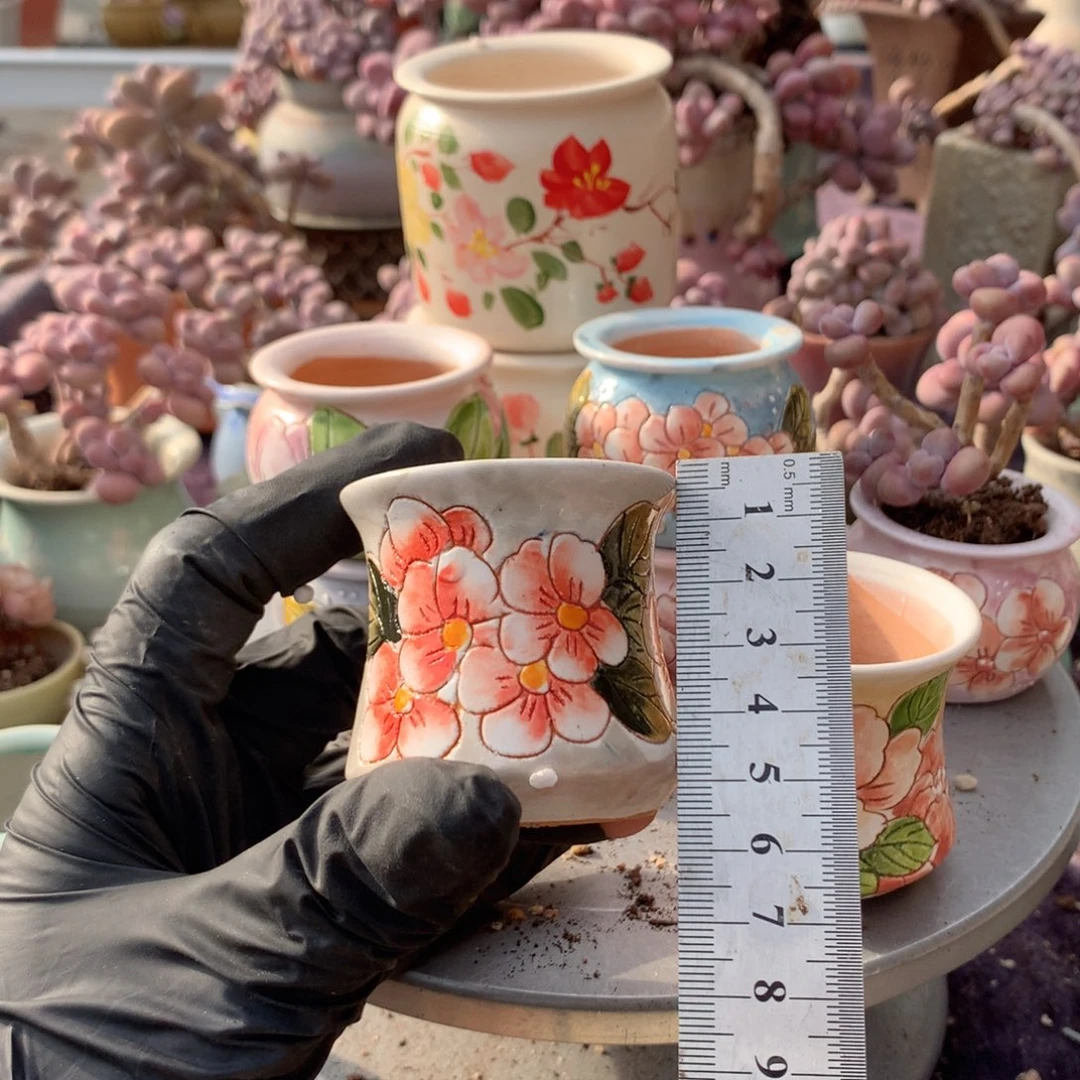 雪***子花盆偏远地区不包邮的