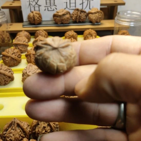 把件文玩核桃宫灯蛇头异性核桃单