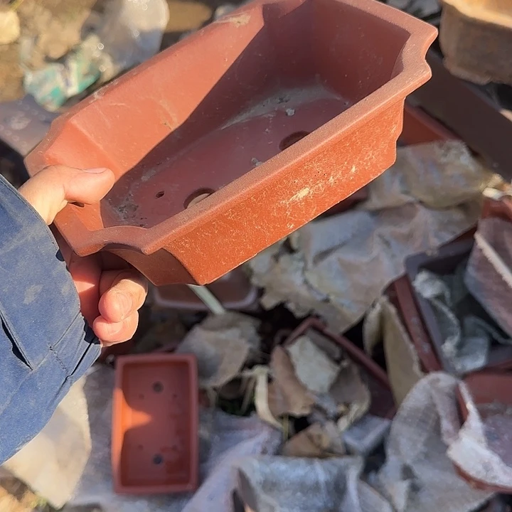 不说算什么呀亲爱的亲爱得晚安亲爱我