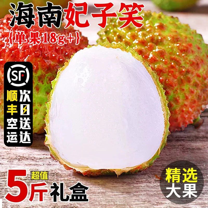 【顺丰空运丨次日达】海南妃子笑荔枝1/3/5斤礼盒装头茬新鲜水果当季现摘现发爆甜老树大果整箱荔枝同城海南省