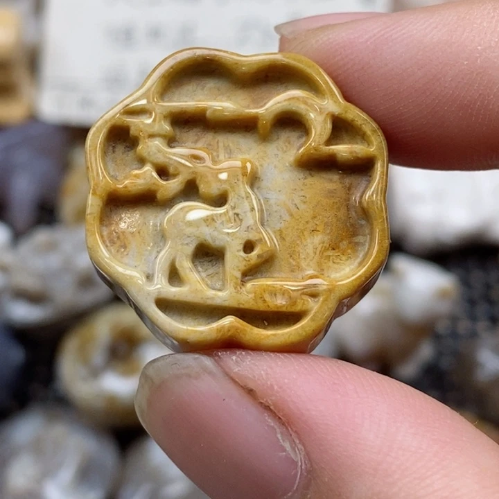 颈饰未镶嵌硅化珊瑚（珊瑚玉）小