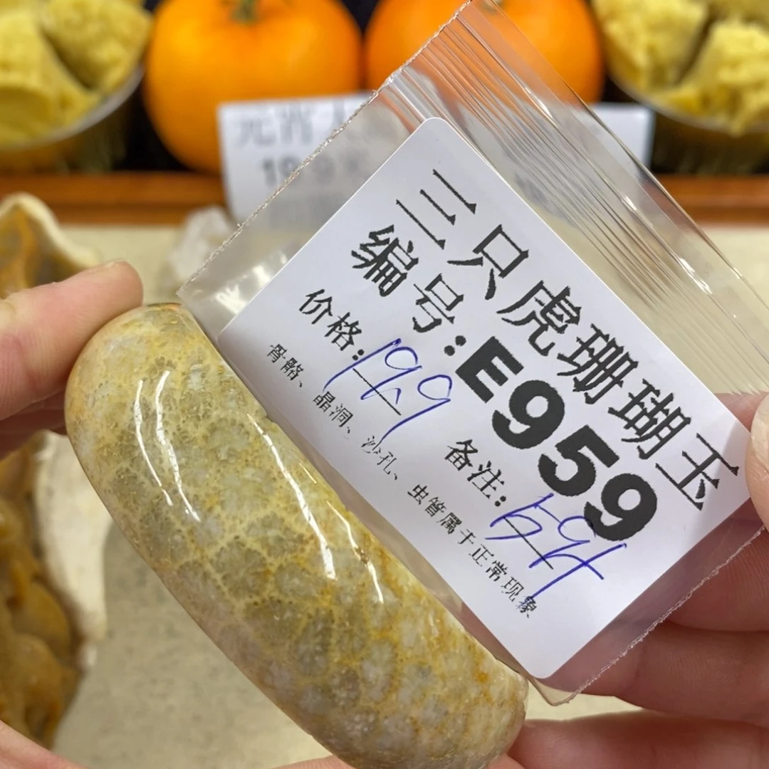 硅化珊瑚（珊瑚玉）1未镶嵌芯*