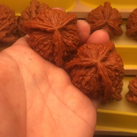 贪***生核桃核桃核桃核桃核桃