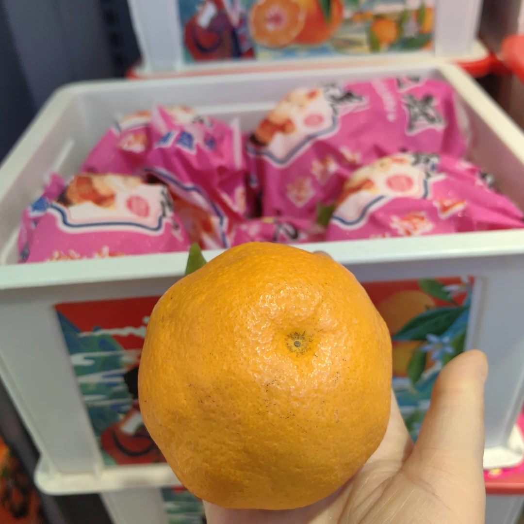 四川春见耙耙柑1箱（纯甜）白筐约5斤耙耙柑四川省临沂市