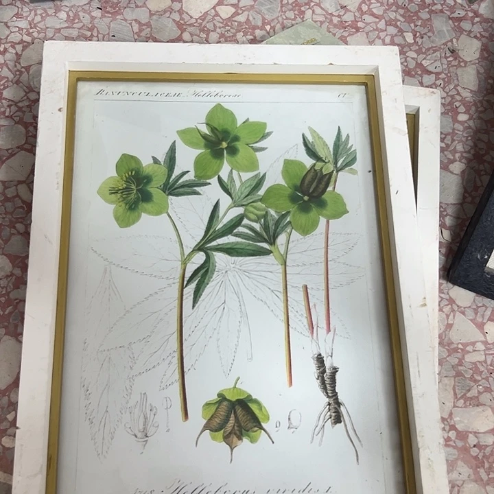 孤品孤品孤品孤品