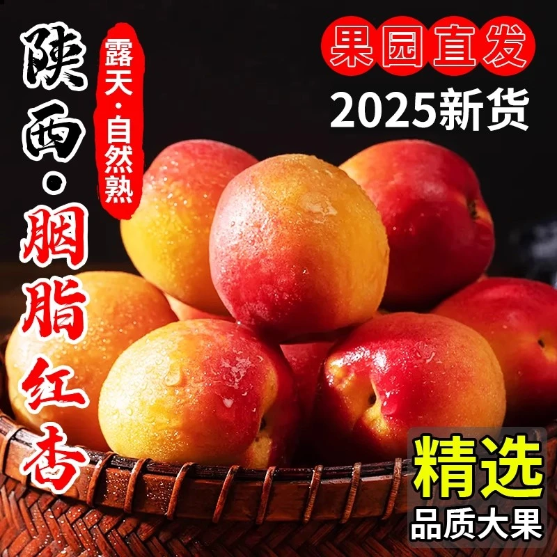 陕西胭脂贵妃红杏杏子大果当季新鲜孕妇水果酸甜脆黄杏青蜜杏顺丰