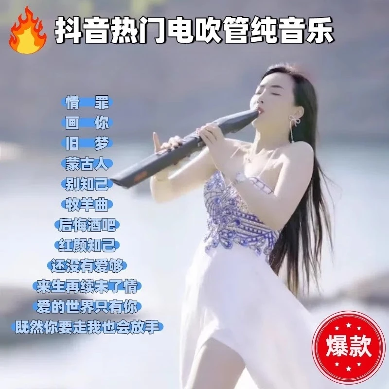 车载电吹管纯音乐u盘情罪抖音热门精选电吹管纯无损音乐优盘