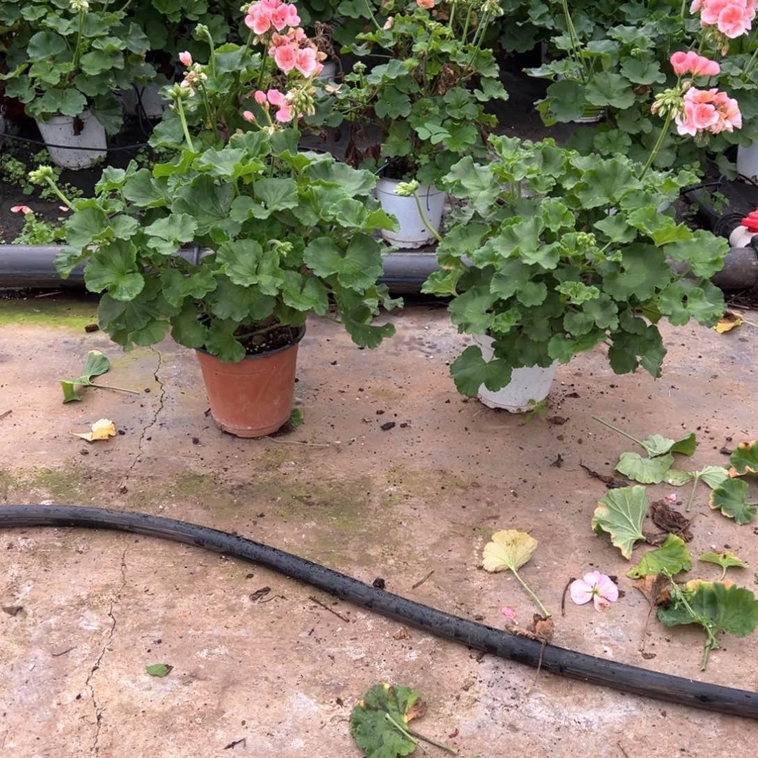 千***。完全开放两个好的857