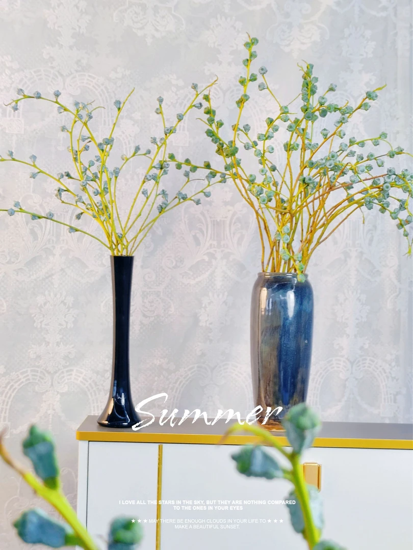 （4A级）尤加利叶果 可干养可水养 散发清香室内室外客厅高端装（丁）