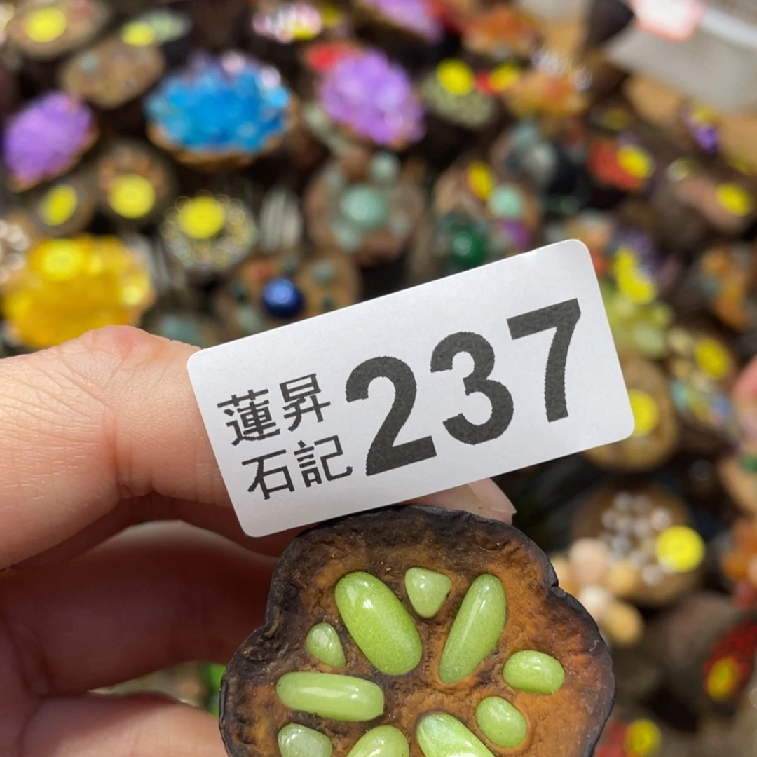 核桃木/黑胡桃（胡桃木）安****子237