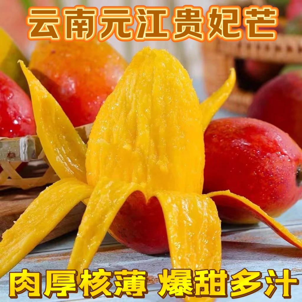 云南贵妃芒树上熟元江小金凤凰现摘现发核薄香甜多汁当季包邮