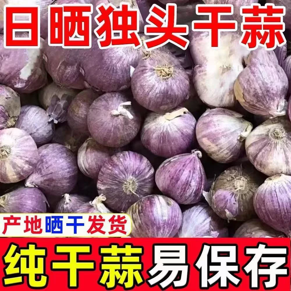 独头珍珠正宗2025紫皮农家批独蒜头批发价红皮晒干独蒜