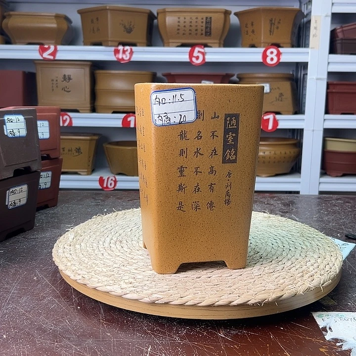 紫砂花盆蛇年大吉