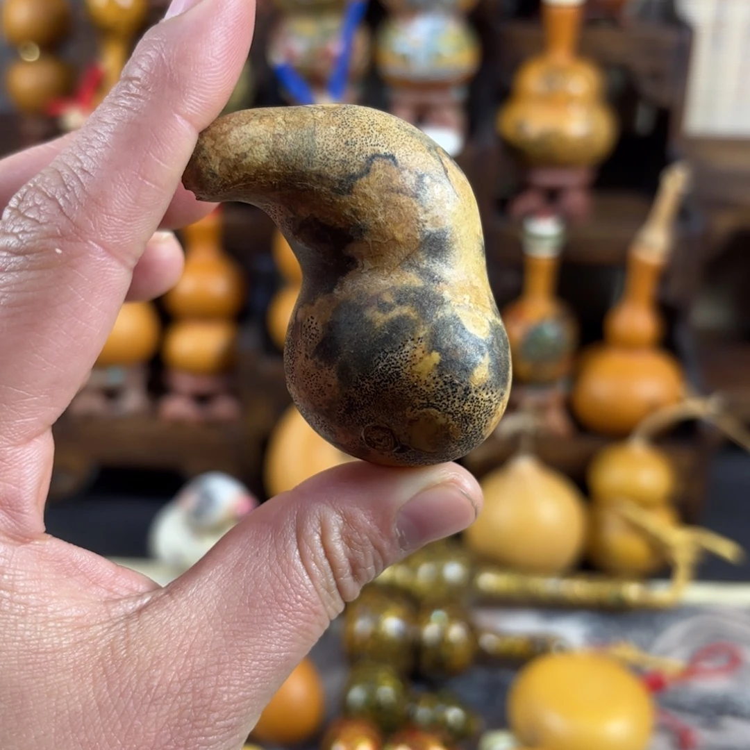 花皮小猪一把看好拍