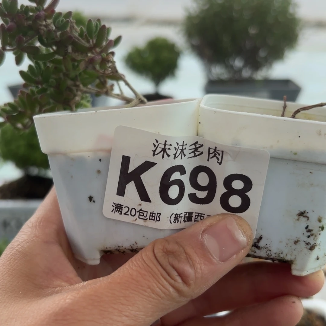 呀***结698开闭福利组合哦哦