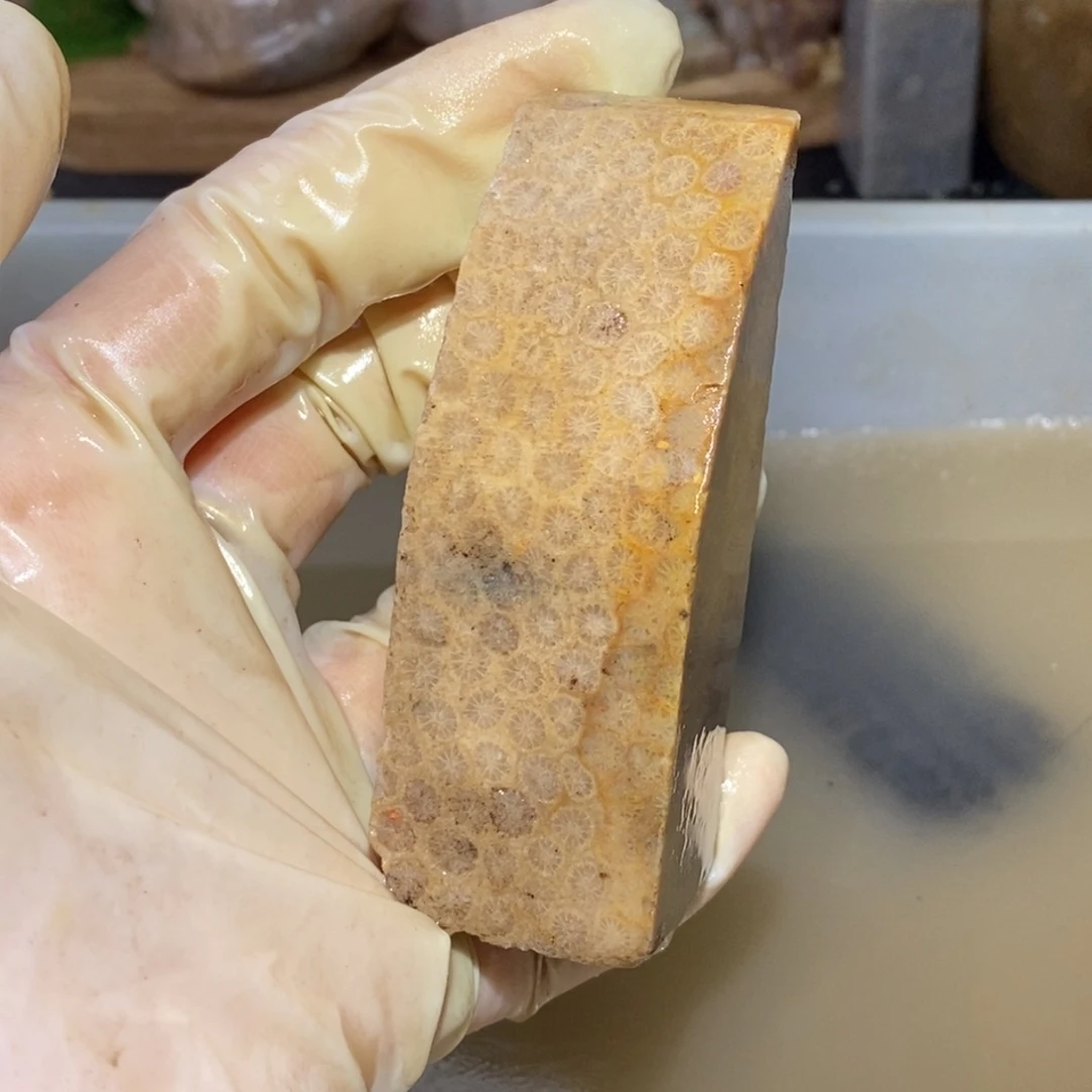 【闪购商品】硅化玉颈饰未镶嵌