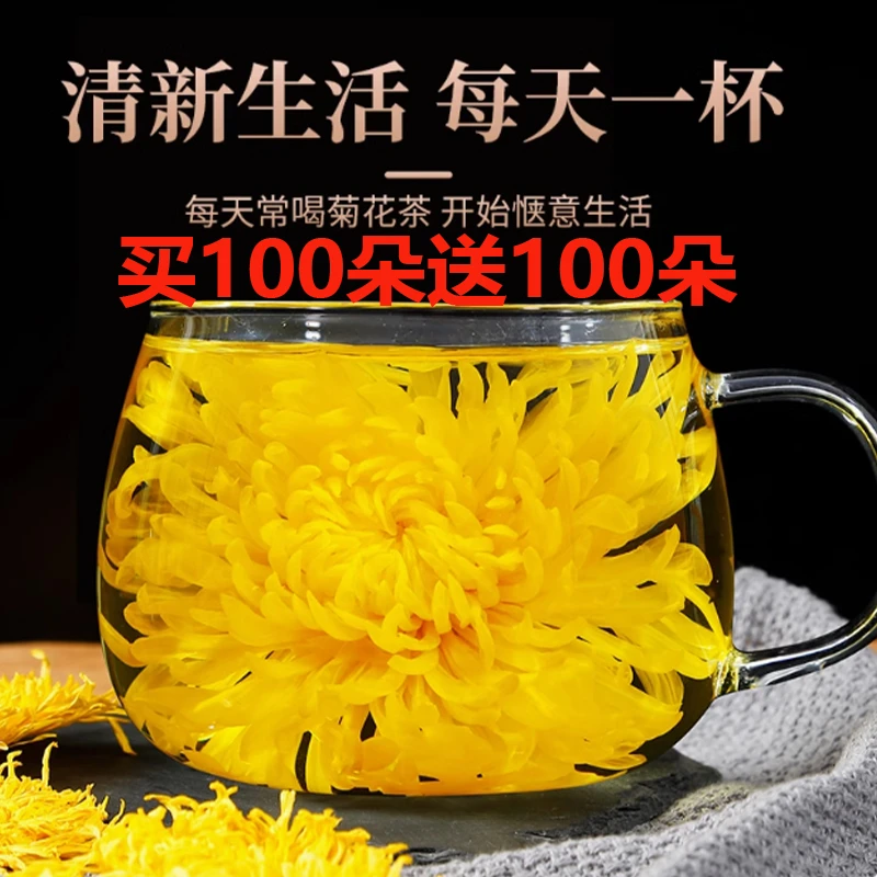 【买100朵送100朵】黄山徽州高山菊花金丝皇菊一朵一杯泡水饮品
