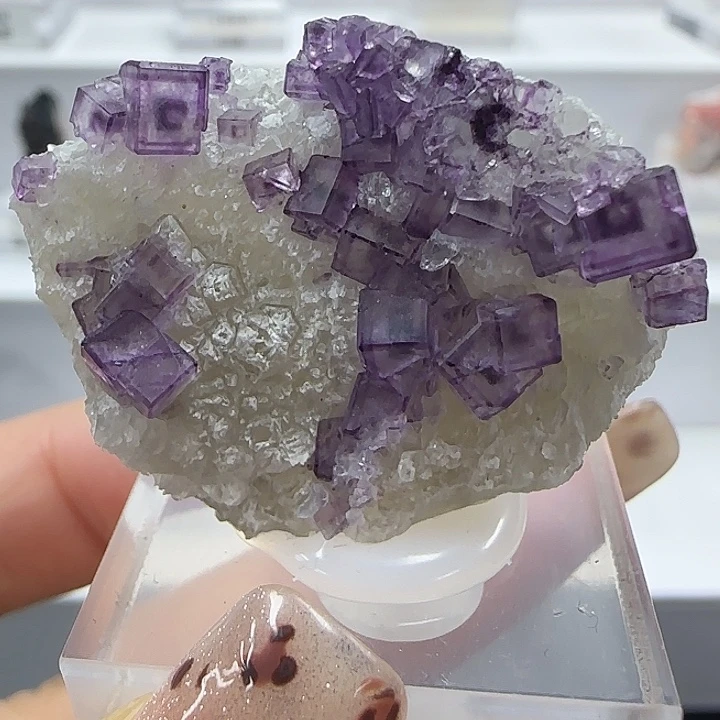 石材浙江回字营啊