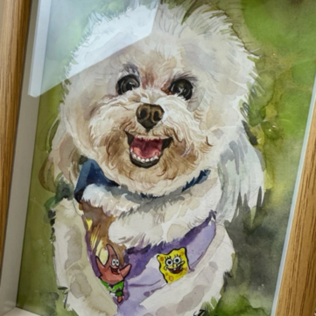 可爱哦小狗作品，一物一拍