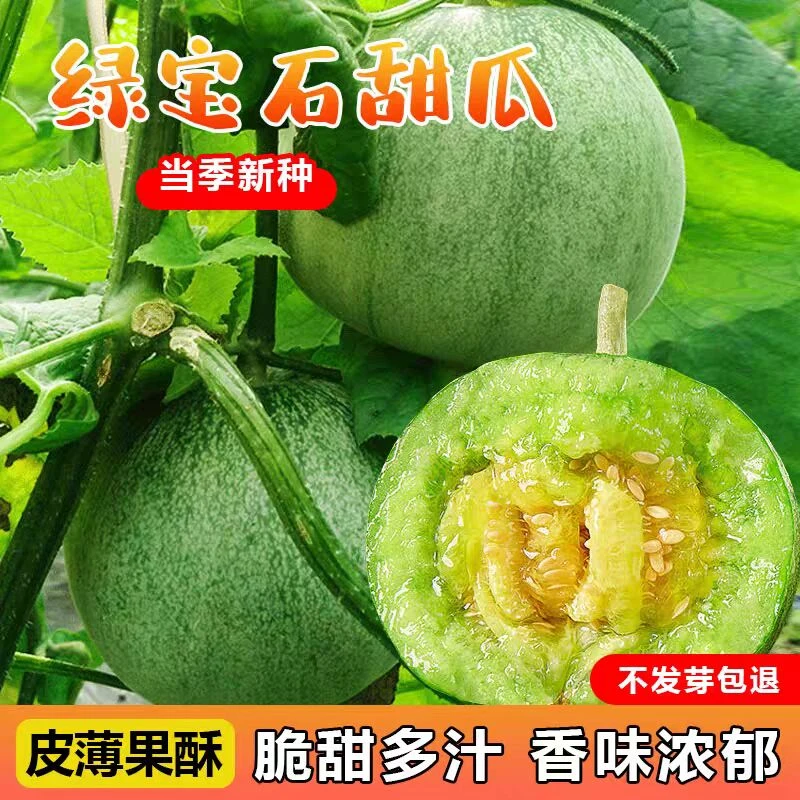 正品绿宝甜瓜种子超甜薄皮甜宝绿宝香瓜籽四季高产阳台水果种子