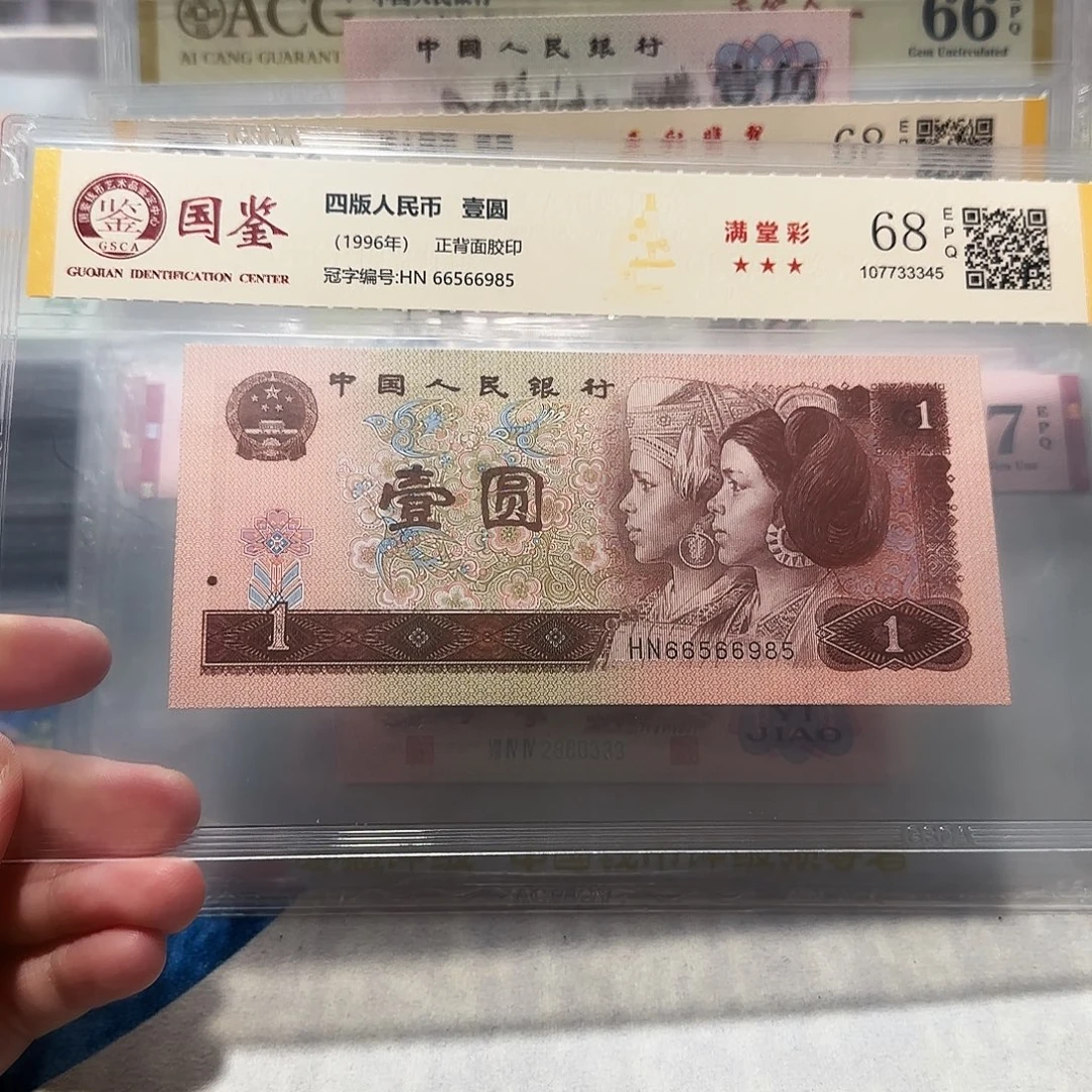 66566985。。958学校