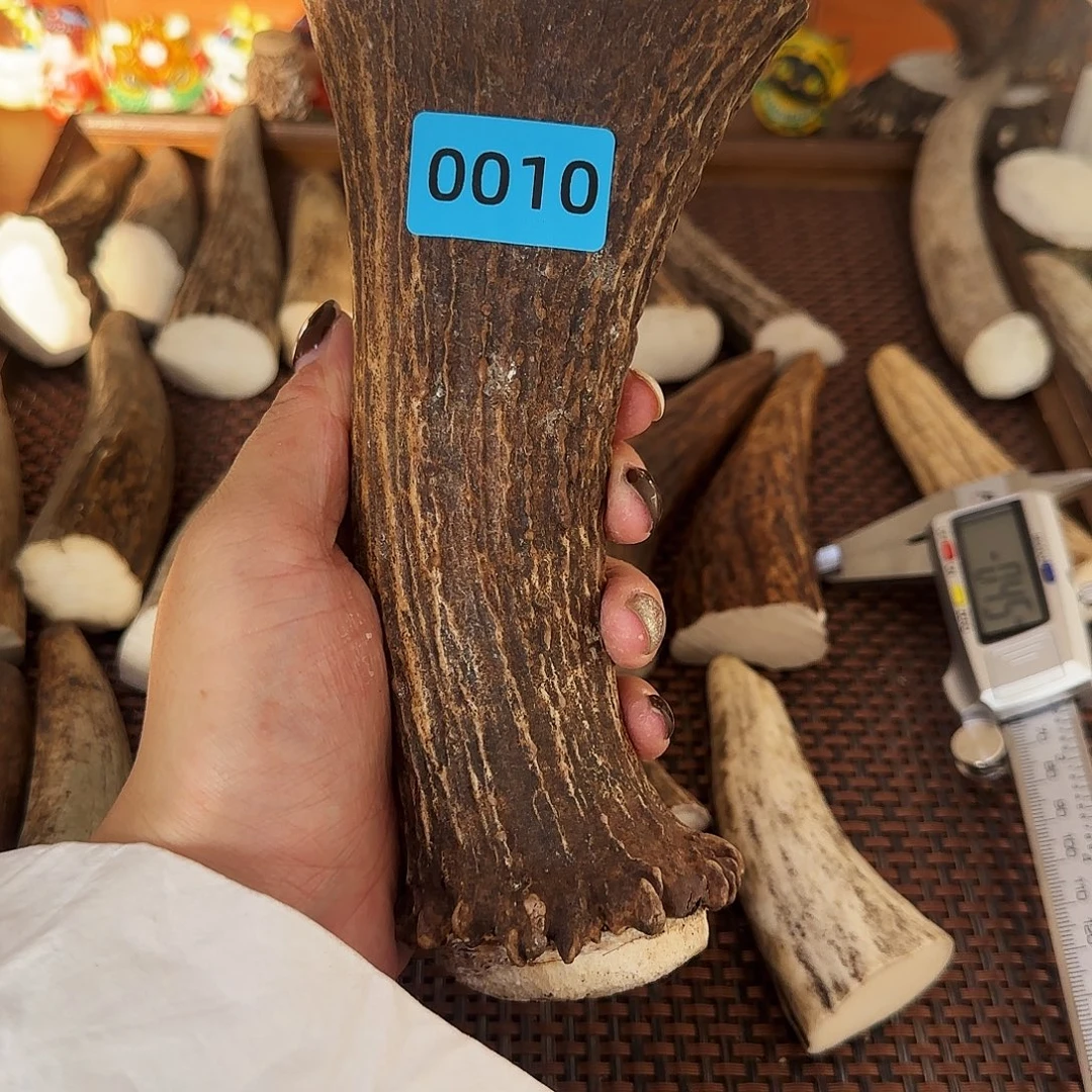 手串/手链鹿骨0010刀柄