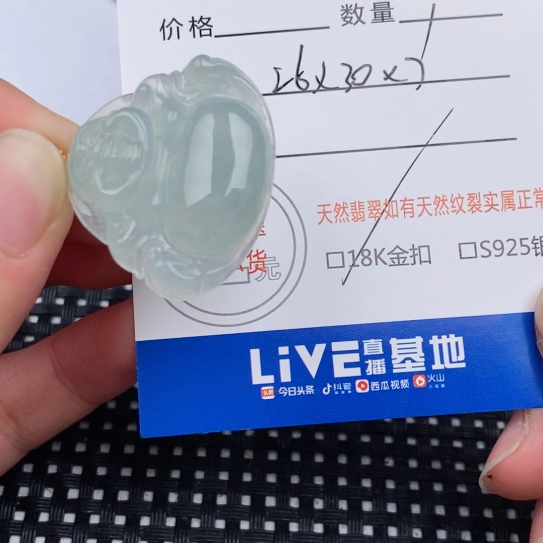 芙***䒢翡翠18K金镶嵌颈饰