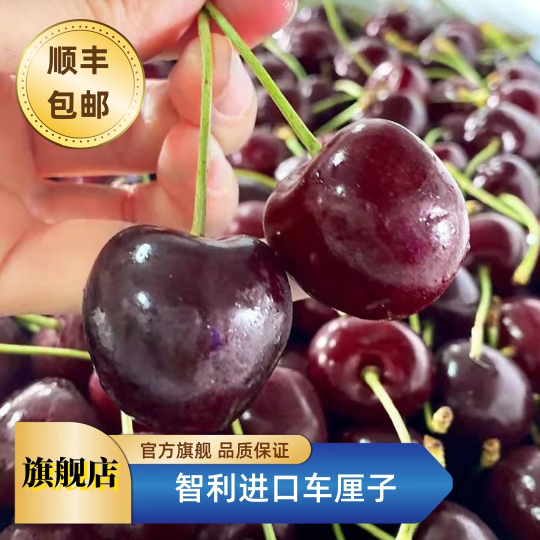 【年货节】智利J-5J海运车厘子5斤原箱 顺丰包邮 内附果径卡