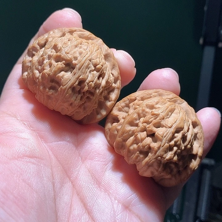 把件文玩核桃45白狮子全品