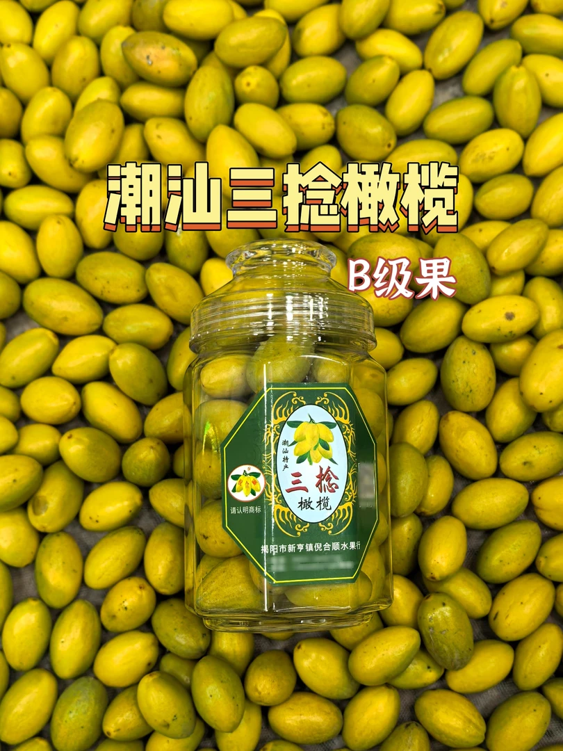 潮汕正宗三捻橄榄  B级果 微瑕 老树枞酥脆甘香可生吃炖汤新鲜摘