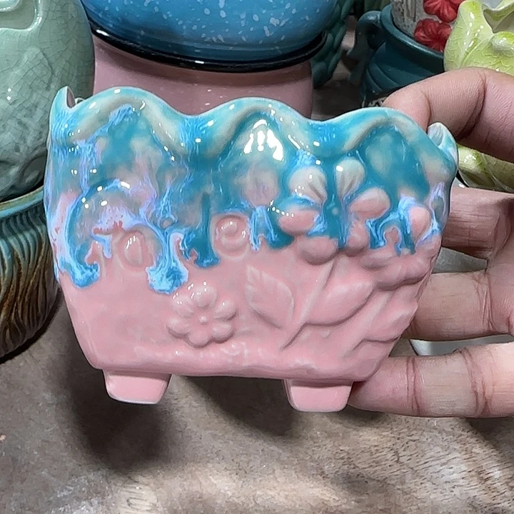 全部花盆福利处理···满10包邮