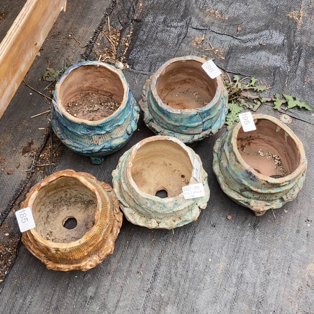 红陶小***头35号五个多肉盆组合