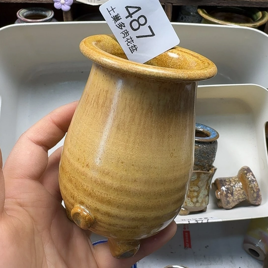 罐素****ఌ陶瓷艺术品设计与制作