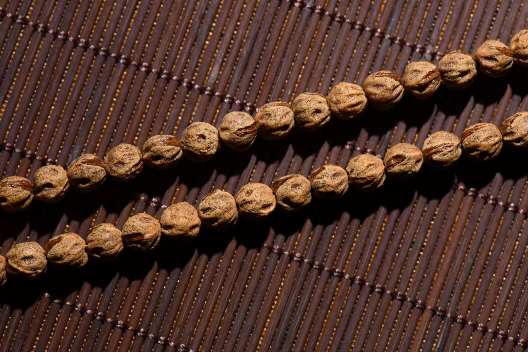 【凯撒甄选】热振红牙口满鬼原桩尸陀林108长串