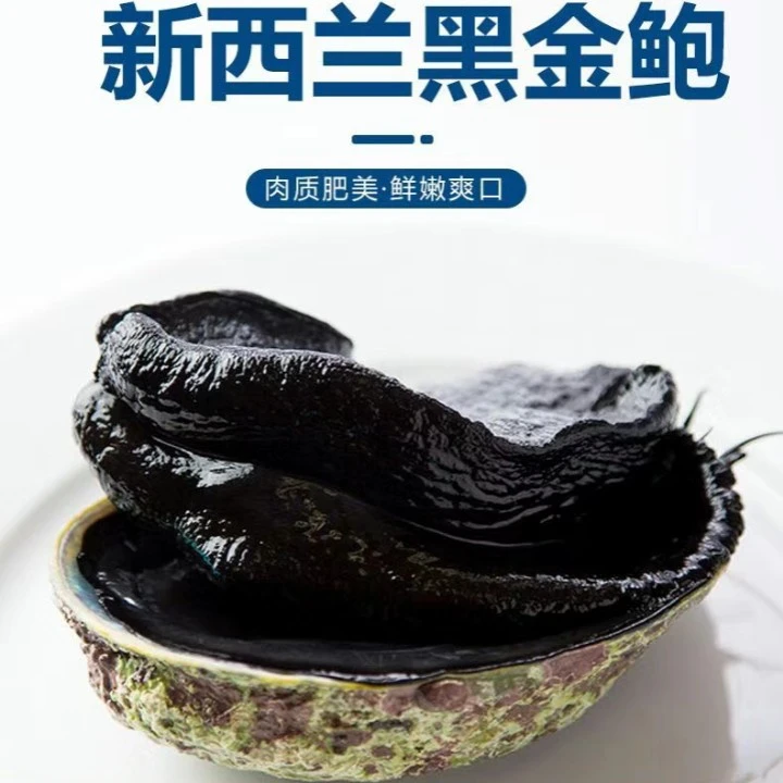 新西兰黑金鲍鱼鲜活鲍鱼大号活刺身野生大只野生鲍1-2斤顺丰空运