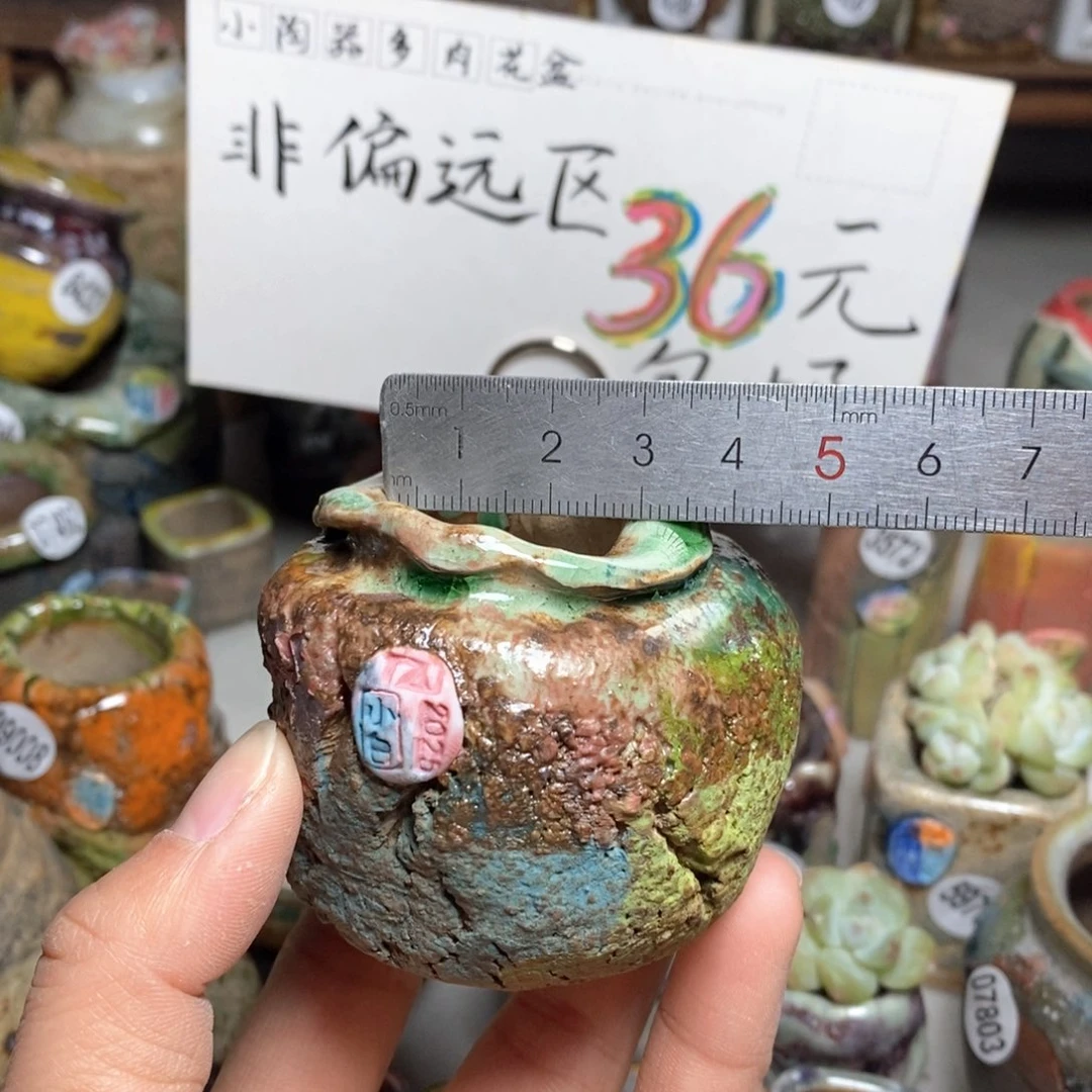 花盆拍3送一个小礼物