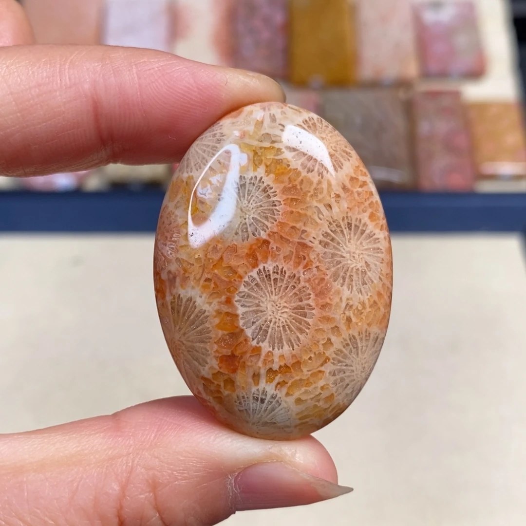 硅化玉未镶嵌吊坠