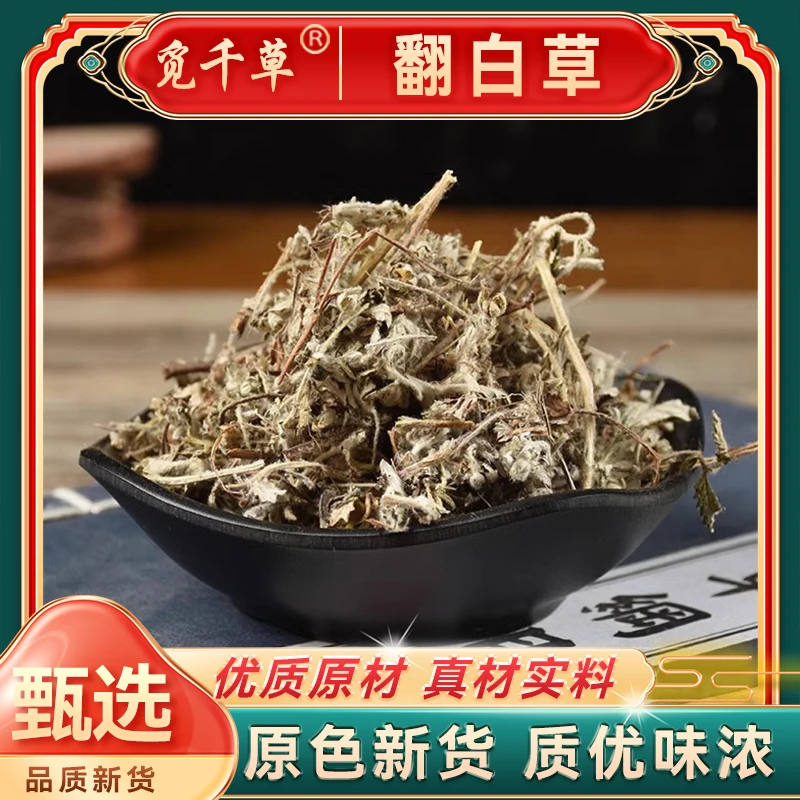 当季新货 翻白草番白草 叶下白全草整颗带根 另有地骨皮