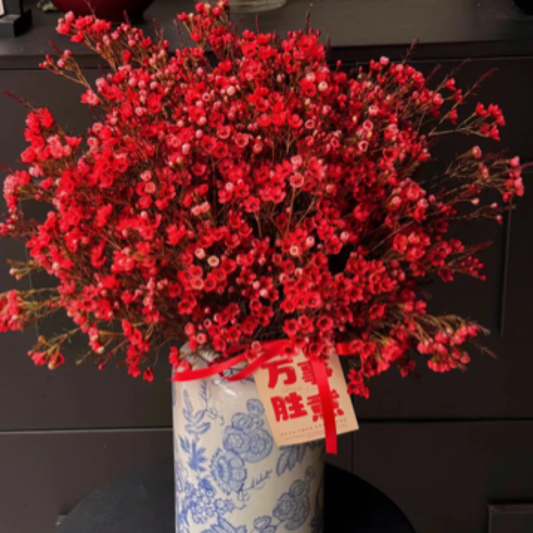 年宵花腊梅花瓶插花不含瓶